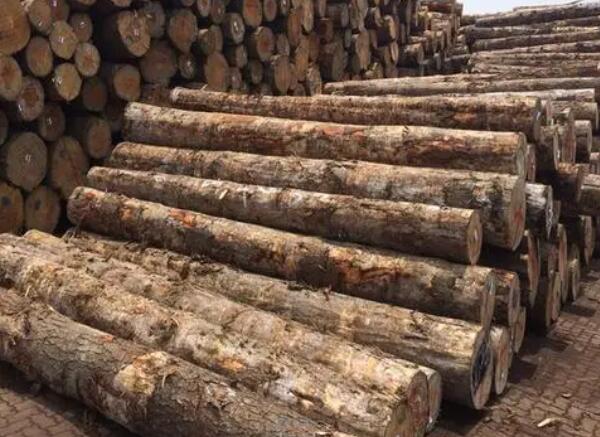 「政策解讀」5月18日起我國恢復進口澳大利亞木材(數(shù)據(jù)洞察)