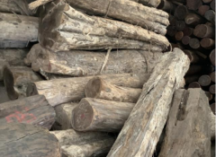 【進口案例】墨西哥黑柿原木進口清關案例分享