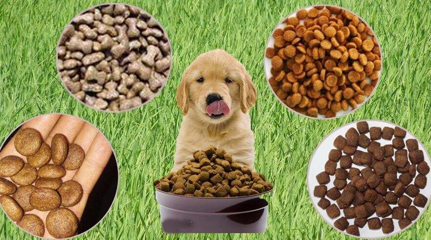 寵物食品進(jìn)口報(bào)關(guān)所需手續(xù)資質(zhì)及進(jìn)口單證